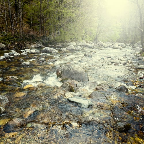 Preview: Morning Mist Over The Stream In The Italian Alps In Piedmont. View Of The Forest Valley With River
