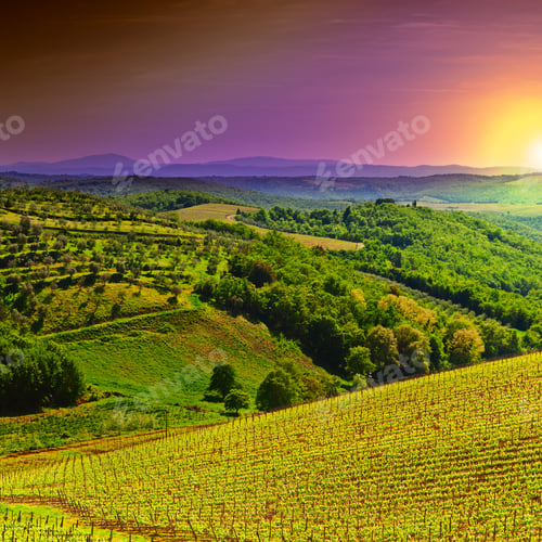 Preview: Hill Of Tuscany With Vineyard In The Chianti Region, Sunrise, Instagram Effect
