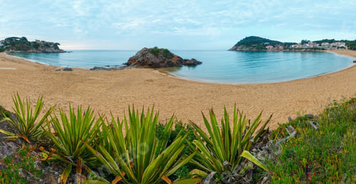 Preview: La Fosca Beach Summer Morning Landscape With Castle Ruins And Agave Plants, Palamos, Girona, Costa