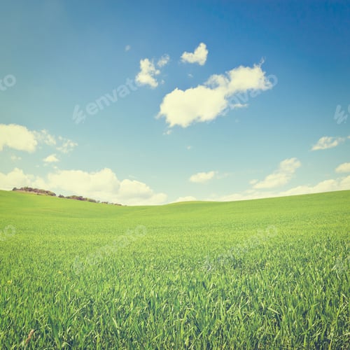 Preview: Green Sloping Meadows Of Tuscany, Instagram Effect