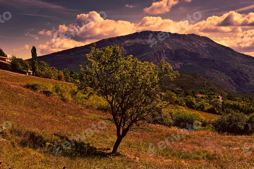 Preview: Farm High Up In The French Alps At Sunset