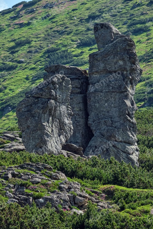 Preview: Big Rocky Vertical Boulders On Summer Mountain Ridge, Carpathian, Chornohora, Vuhatyj Kaminj