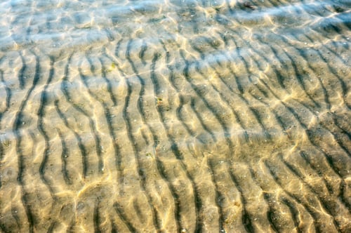 Visualização: Fundo do mar arenoso em meio à água