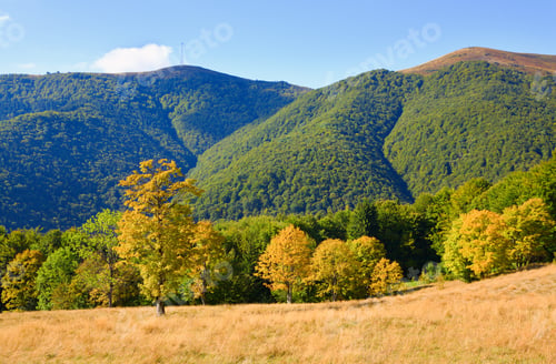 Preview: Carpathian Mountains (Ukraine) Autumn Landscape With Country Road.