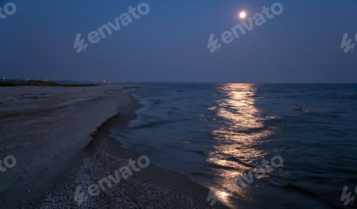 Preview: Night Sea Sandy Shore With Full Moon And Moonlight Path