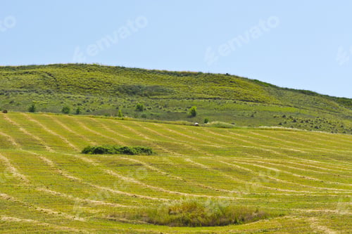 Preview: Wheat Fields On The Hills Of Sicily