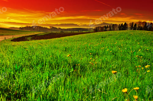 Preview: Pasture On The Background Of Snow-Capped Alps In Switzerland At Sunset