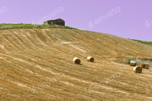 Preview: Landscape Of Sicily With Many Hay Bales At Sunset