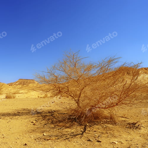 Vista previa: Sand Hill In The Negev Desert, Israel.
