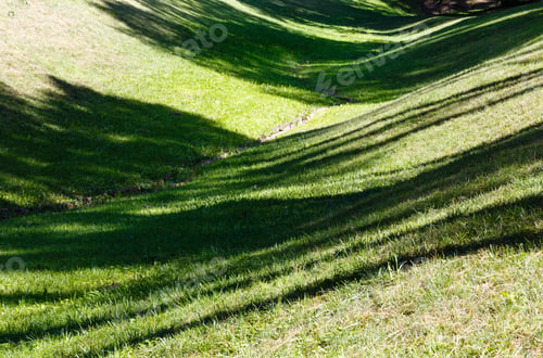 Preview: Perfect Green Grass Lawn On Landscape Designed Summer Park Hollow. Striped Shadows On Curved Meadow