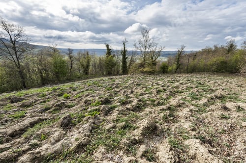 Preview: Plowed Sloping Hills Of Tuscany In The Spring. Rural Landscape With Field Ready For Sowing