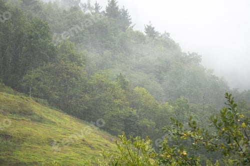Preview: Foggy Morning In Beceña Asturias Spain Mountain Scenery