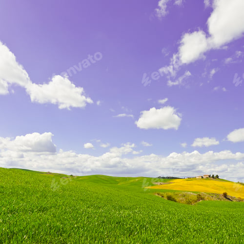 Preview: Green Sloping Meadows Of Tuscany