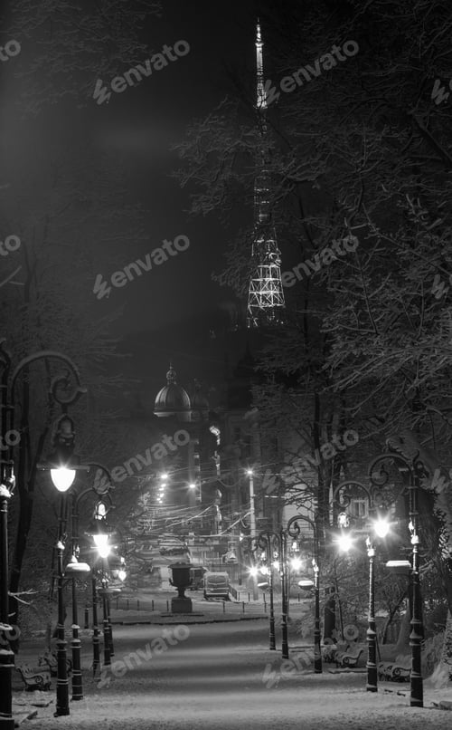 Preview: Grayscale. Beautiful Night Winter Ivan Franko Park Walkway In The Center Of Lviv City (Ukraine)