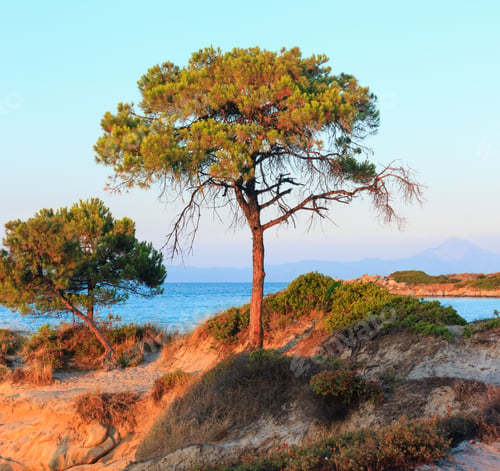 Preview: Aegean Sea Coast Landscape, Sunset View From Karidi Beach (Chalkidiki, Greece).