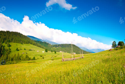 Preview: Summer Mountain Blossoming Green Meadow With Farmhouse (Carpathian Mt-S, Ukraine).