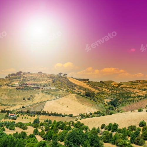 Preview: Sicilian Landscape At Sunrise, Hills, Fields, Flowers, Pasture And Sunlight
