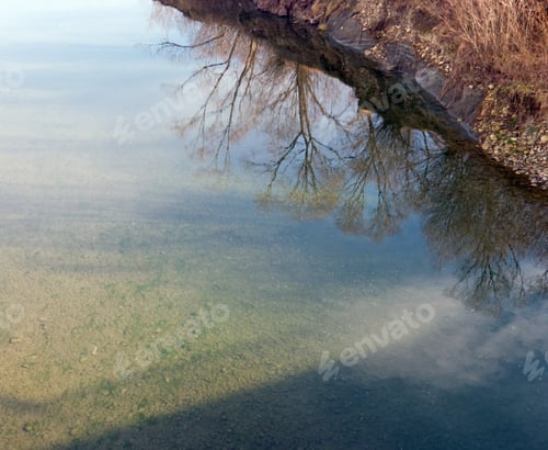 Preview: Inverted World Of Water Reflection (Spring Trees And Sky)