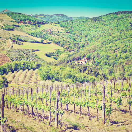 Preview: Hill Of Tuscany With Vineyard In The Chianti Region, Instagram Effect