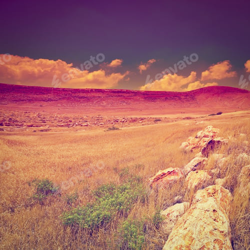 Preview: Stone Hills Of Samaria In Israel, Sunrise, Instagram Effect