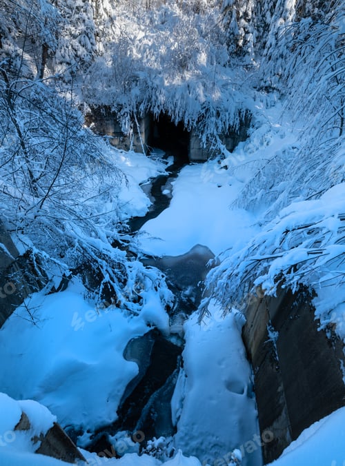 Vorschau: Verschneiter Winterwald in den alpinen Bergen mit Schneeverwehungen und gefrorenem kleinen Bach