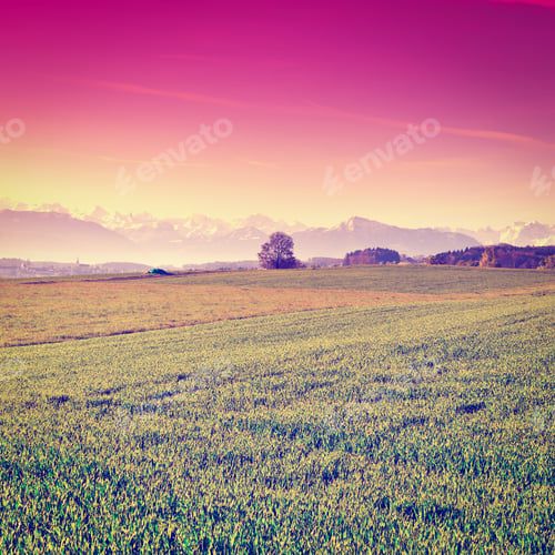 Preview: Pasture On The Background Of Snow-Capped Alps In Switzerland At Sunset, Instagram Effect