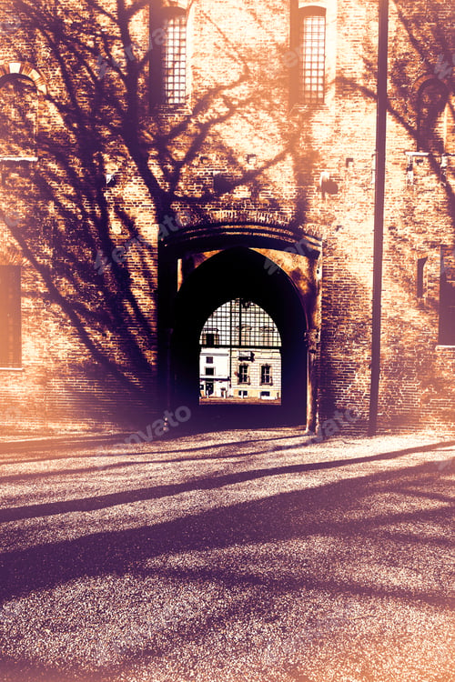 Preview: Whimsical Shade Of Trees In The Courtyard Of The Duke Of Gonzaga'S Palace In Mantua At Dawn In A