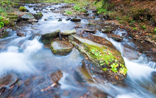 Preview: Rocky Stream, Running Through Autumn Mountain Forest