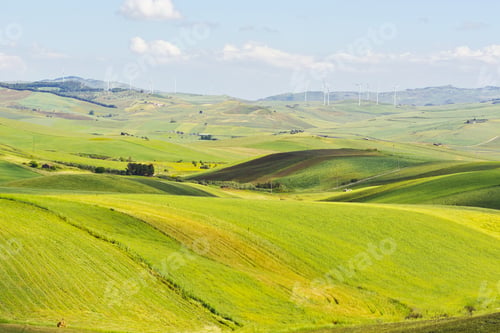Preview: Stubble Fields On The Hills Of Sicily