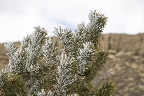 Preview: Winter Landscape In Gudar Mountains Teruel Province Spain