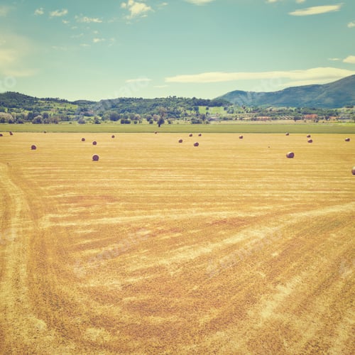 Preview: Landscape With Many Hay Bales, Instagram Effect
