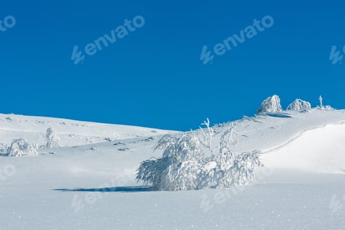 Preview: Winter Calm Mountain Landscape With Beautiful Frosting Trees And Snowdrifts On Slope (Carpathian