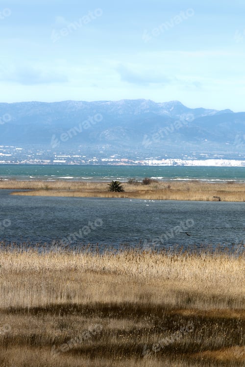 Preview: View Of Rice Fields Within Delta Del Ebro Natural Park, Tarragona, Spain