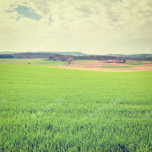 Preview: The Swiss Farmhouse Surrounded By Forests And Plowed Fields, Instagram Effect