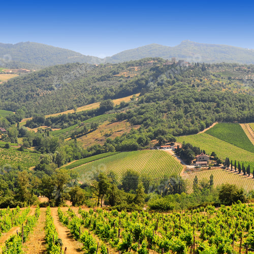 Preview: Vineyard And Farmhouses At The Foot Of The Italian Alps