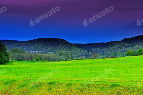 Preview: Green Pasture In The Ardennes, Sunrise