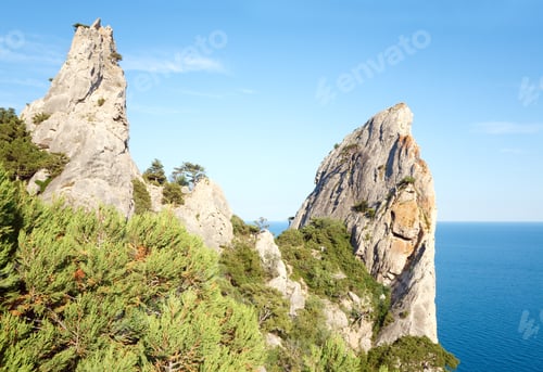 Preview: Pine Trees On Rock On Blue Sky And Sea Background ("Novyj Svit" Reserve, Crimea, Ukraine).