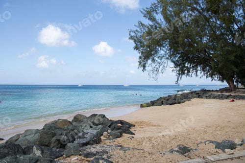 Preview: Beach In Barbados An Island Country In The Lesser Antilles, In The Caribbean Region Of North America
