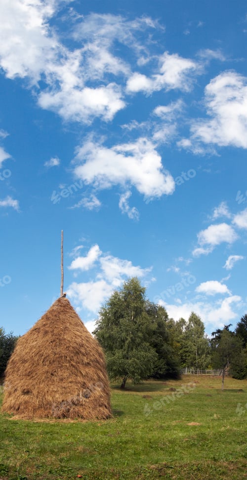 Preview: Summer Mountain Green Meadow With Stack Of Hay And High Blue Sky With Fleecy Clouds (Slavske
