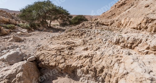 Preview: Rocky Hills Of The Negev Desert In Israel. Breathtaking Landscape Of The Desert Rock Formations In