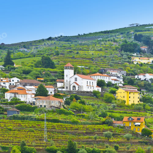 Preview: Village With Church Surrounded By Vineyards On The Hills Of Portugal