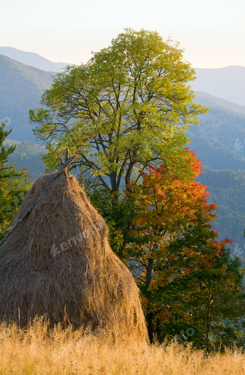 Preview: Autumn Mountain Hill With Colorful Tree And Haystack (Carpathians, Ukraine)