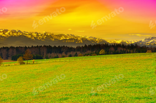 Preview: Pasture On The Background Of Snow-Capped Alps, Switzerland