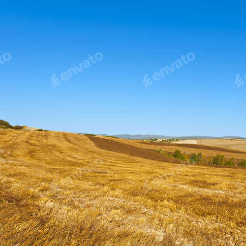 Preview: Stubble Fields On The Hills Of Tuscany. Tuscany Landscape After Harvest.