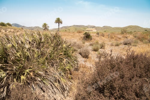 Preview: Landscape In La Manga Del Mar Menor Cabo De Palos Murcia Spain