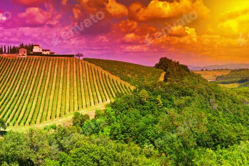 Preview: Hill Of Tuscany With Vineyard At Sunset