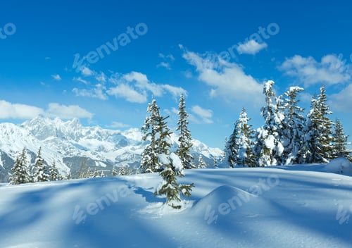 Preview: Winter Mountain Fir Forest Snowy Landscape (Top Of Papageno Bahn - Filzmoos, Austria)