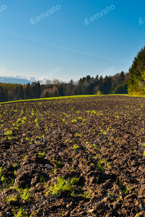 Preview: Plowed Fields And Forest In Switzerland