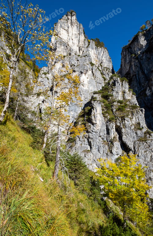 Preview: Sunny Idyllic Colorful Autumn Alpine Scene. Peaceful Rocky Mountain View From Hiking Path Near