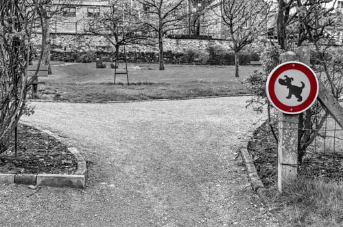Preview: The Sign Prohibiting Walking Dogs In A Park In Belgium. A Sign Telling You That This Is Not A Dog